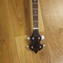 Remo 4 string Banjo with carry bag Image 3