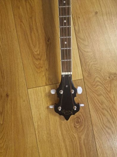 Remo 4 string Banjo with carry bag