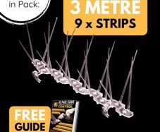 bird spikes for gutters