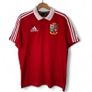 The Lions 2013 Rugby Polo T-Shirt Image 3