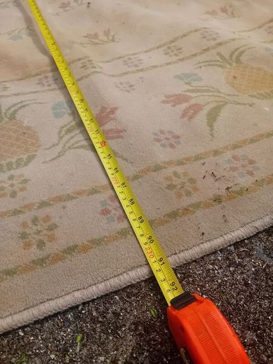 Large Floor Rug Needs Serious Cleaning