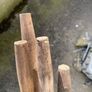Windbreak Image 3