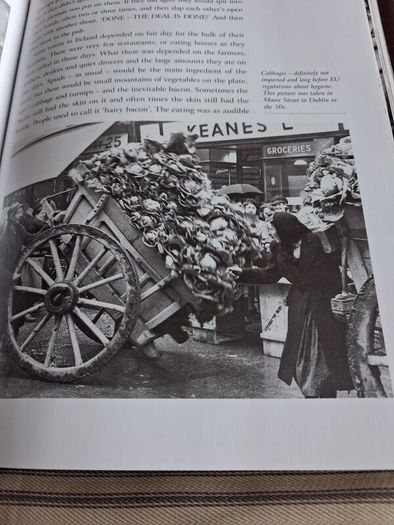 Book. Yesterday's Ireland.