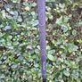 MacGregor DX Sand Wedge Graphite Right Handed Image 4