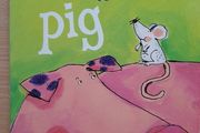 Hardback board book 'As big as a Pig'
