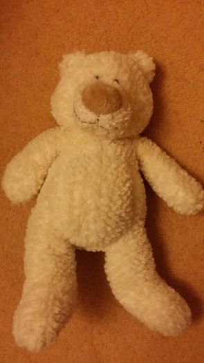 Teddy