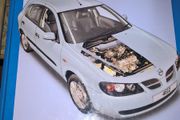 Haynes Car Service &amp; Repair Manual 4612 Nissan Almera &amp; Tino