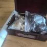 Andux Alice in Wonderland Chess Set with Leatherette Board & Wooden Box Image 4