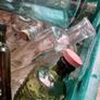 bottle selection Image 2