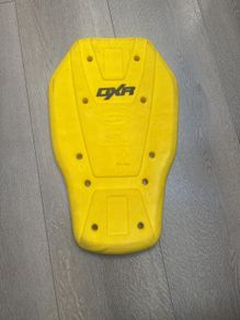 back protector