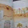 Book: Flowers, Trees & Plants (postage included) Image 4