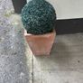 Pair of terracotta pots with artificial plants Image 4