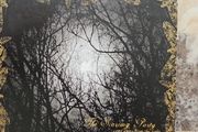 The Scarring Party CD  - Come Away From The Light