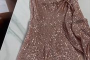 Sequence blush pink dress