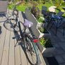 ladies bicycle Image 2