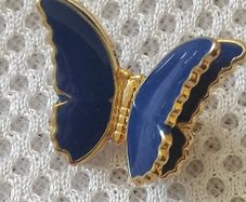 Butterfly brooch