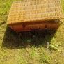 picnic Image 5