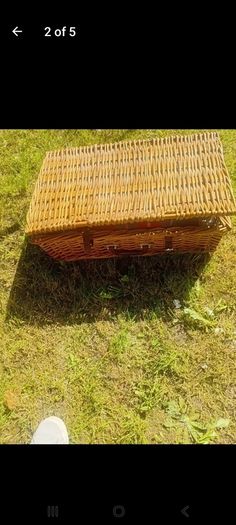 picnic