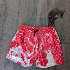 LV luxury swim shorts