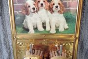 Vintage Decorative Brass Wall Clothes Brush Set