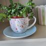 Turtle Vine. Tradescantia Callisia repens.House plant. Image 7