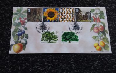 Great Britain Stamps : Tree and Leaf - First Day Cover , 2000