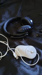 headphone + mouse