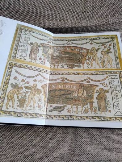 La Mosaique en Tunisie the mosaics of Tunisia large coffee table book in very good condition with no issues 270 pages with lots of pictures etc see photos FREE STANDARD POSTAGE INCLUDED