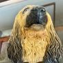 Vintage 20th Century Afghan Hound Chalkware Bust Legend Products Image 3