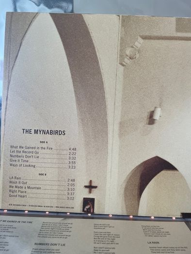 The Mynabirds - What We Lose In The Fire We Gain In The Flood