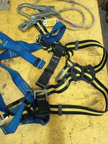 Harness and lanyard