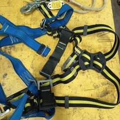 Harness and lanyard