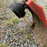 Strimmer Image 3