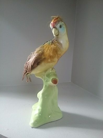 China Cockatoo