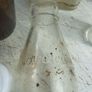A small lot of vintage glass bottles (free to collect) Image 4