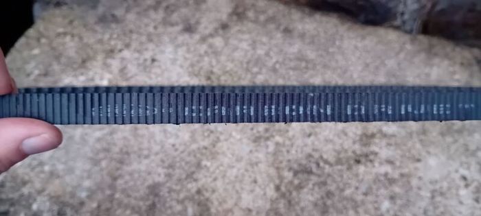 Belt
