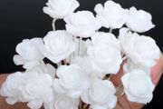 Wedding Hair Pins