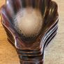 6 New Shell Design Dishes Image 5