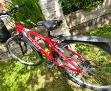 Free bike