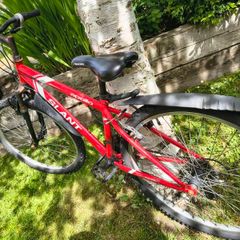 Free bike