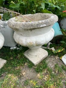 plant pots