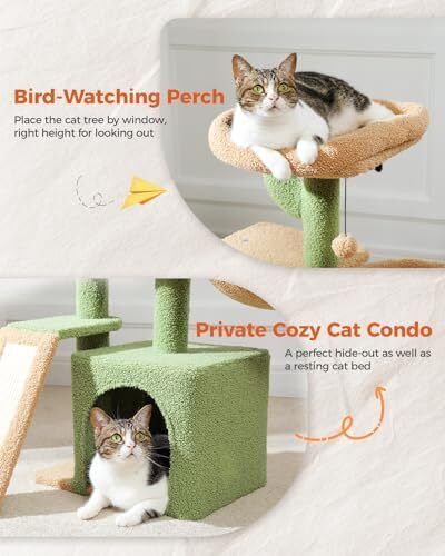 Road Cactus Cat Tree With Scratching Pad and Hammock Cat Tower With Condo, Small Cat Tower Comfy Basket For Indoor Cats, 80cm Green