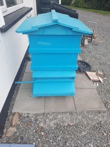 bee hive