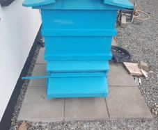 bee hive