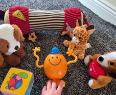toy
