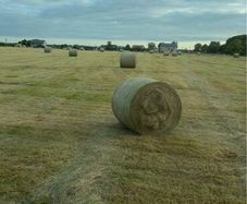 Round bales of hay