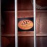 SX Electro-Acoustic Guitar Image 6