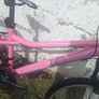 24" Bike Image 2