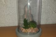 Meditating Buddha in Glass Dome