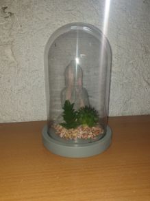 Meditating Buddha in Glass Dome